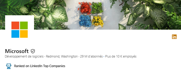 Page LinkedIn de Microsoft France